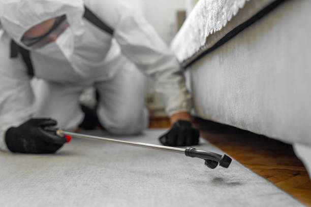 Professional Pest Control technician working in Jefferson County County, TX